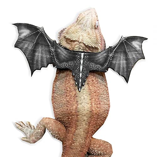 MiOYOOW Bartagamen Geschirr verstellbare Eidechsenleine Reptiliengürtel Cooles Eidechsen Geschirr mit Tyrannosaurus Flügeln aus Leder für Geckos Bartagamen Chamäleons Leguane von MiOYOOW