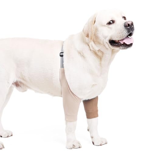 MiOYOOW Dog Sleeve Protect, Stop Licking Dog Elbow Joint Support Dog Front Legs Elbow Pads with Adjustable Buckle for Small Medium Large Dogs MiOYOOW Dog Sleeve Protect, Stop Licking Dog Elbow Joint Support Dog Front Legs Elbow Pads with Adjustable Buckle for Small Medium Large Dogs von MiOYOOW