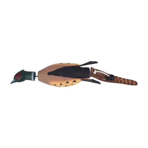 MiOYOOW Enten Dummy Stoßstange, Hundetrainings Spielzeug, Hundetrainings Dummy Stoßstange, Jagdhundezubehör für Das Training Der Jagdhund Retriever Fähigkeiten MiOYOOW Enten Dummy Stoßstange, Hundetrainings Spielzeug, Hundetrainings Dummy Stoßstange, Jagdhundezubehör für Das Training Der Jagdhund Retriever Fähigkeiten von MiOYOOW
