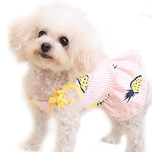 MiOYOOW Hund Shirt Rock, Gestreifte Welpen Kleidung Sommer Shirts Niedlich Hundekleid für kleine Hunde und Katzen von MiOYOOW