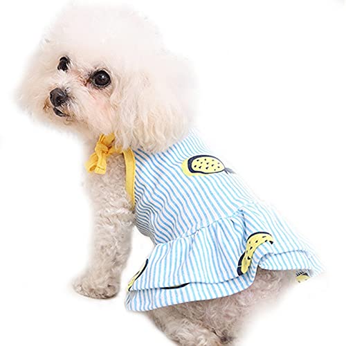 MiOYOOW Hund Shirt Rock, Gestreifte Welpen Kleidung Sommer Shirts Niedlich Hundekleid für kleine Hunde und Katzen von MiOYOOW