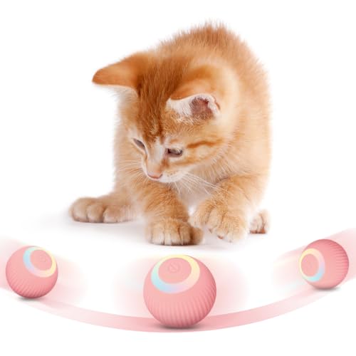 MiOYOOW Interaktiver Katzenspielzeugball Haustier Unterhaltungskugeln selbstrotierender Bälle Spielzeug USB wiederaufladbares automatisches Katzenspielzeug für Katzen im Innenbereich Linderung von MiOYOOW