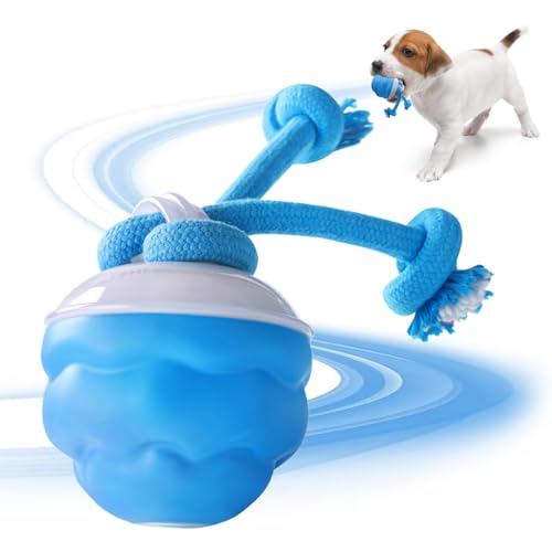 MiOYOOW Interaktives Hundespielzeug, 3 Bewegungsmodi, Intelligentes Hundeball Spielzeug mit Schweifseil, USB Wiederaufladbar Quietschendes Welpe Kauspielzeug für Hunde Katzen MiOYOOW Interaktives Hundespielzeug, 3 Bewegungsmodi, Intelligentes Hundeball Spielzeug mit Schweifseil, USB Wiederaufladbar Quietschendes Welpe Kauspielzeug für Hunde Katzen von MiOYOOW