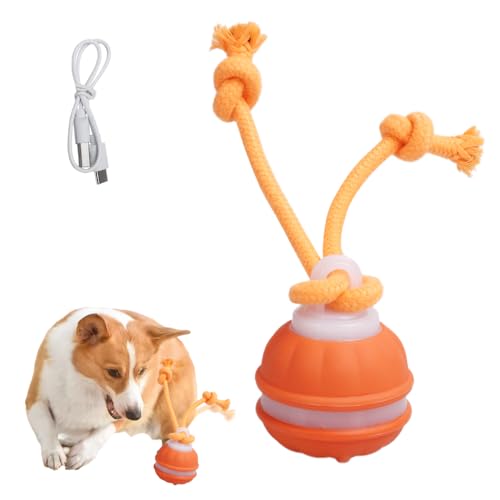 MiOYOOW Interaktives Hundespielzeug, Elektrischer Hunde Rollball mit Quietschgeräusch, 3 Modi, Automatisch Bewegliches Haustierspielzeug für Welpen und Kleine Hunde von MiOYOOW