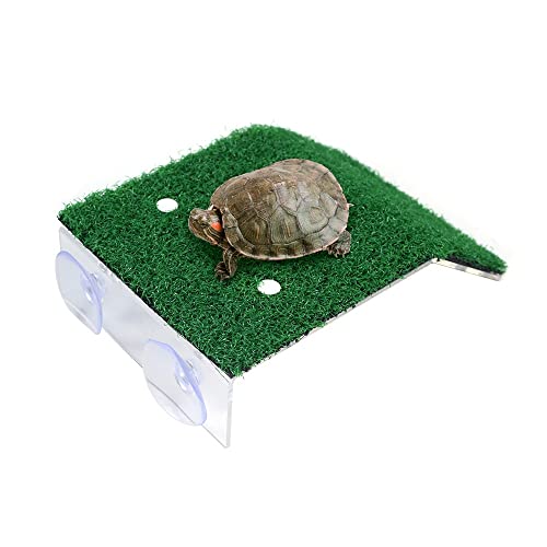 MiOYOOW Schildkrötenbadeplattform Simulations Rasenbadeplattform Schildkröte Rampe Plattform Aquarium Schildkröten Kletterleiter für Aquarium Dekoration von MiOYOOW