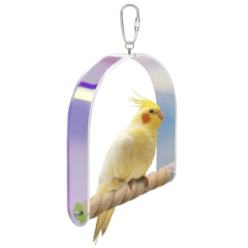 Sitzstange Hängeschaukel Sittiche, Schaukelspielzeug für Sittiche, Vogel Vogelstangen aus Acryl, Vogelkäfig Dekoration Zubehör mit Holzstab für Nymphensittiche, Sittiche, Liebesvögel, Papageien von MiOYOOW