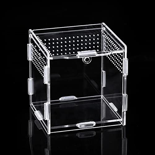 Transparente Reptilien Terrarien,Acryl Hohe Lichtdurchlässigkeit Terrarium Behälter Tragbar Atmungsaktiv Fütterungsbox mit Magnetverschluss für Reptilien Eidechsen Einsiedler Hamster Schildkröten von MiOYOOW