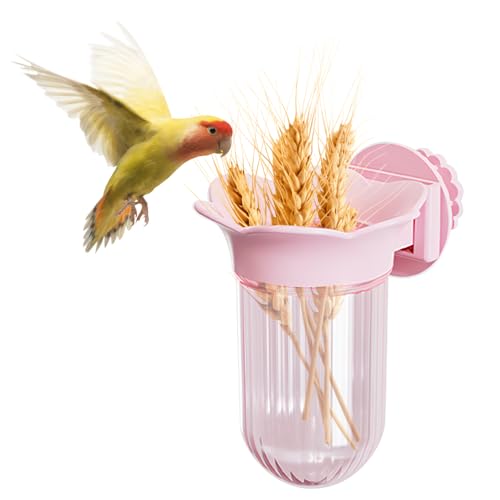 Vogelnapf, Süßer Papageien Futterspender in Tulpenform mit Schnellmontageclip, Tiefer Futternapf zum Einlegen von Gemüse, Getreide, Käfig, Sittich Vogelnapf, Süßer Papageien Futterspender in Tulpenform mit Schnellmontageclip, Tiefer Futternapf zum Einlegen von Gemüse, Getreide, Käfig, Sittich von MiOYOOW
