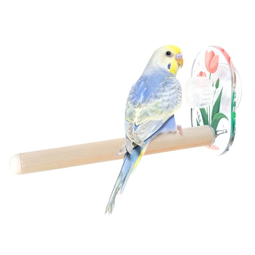 Vogelschaukel Spielzeug, Vogelsitzstange mit Saugnapf, Haustier Vogelkäfig Holz Kletterspielzeug für Kleine und Mittelgroße Vögel, Wellensittiche Kakadus Unzertrennliche Kanarienvögel Finken von MiOYOOW