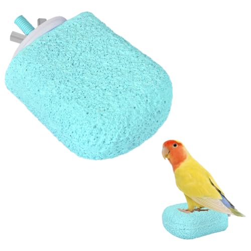 Vogelschnabel Schleifstein, rutschfeste Papageienstange, Vogel Kauspielzeug für Käfigsittiche, Nymphensittiche, Hamster Vogelschnabel Schleifstein, rutschfeste Papageienstange, Vogel Kauspielzeug für Käfigsittiche, Nymphensittiche, Hamster von MiOYOOW