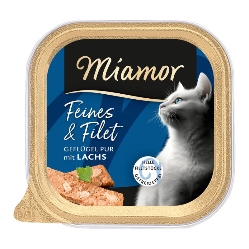 Miamor Feines & Filet 16 x 100 g - Geflügel Pur & Lachs von Miamor