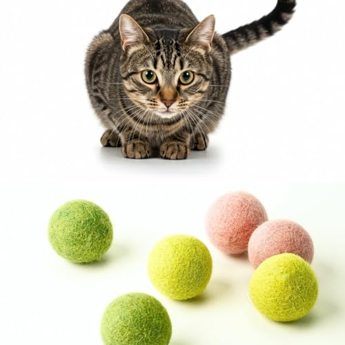 Miao and Woof Woll-Katzenbälle – 6er-Pack weiche Filzspielzeuge für Katzen & Kätzchen – leise, langlebig, handgefertigte Spielbälle – sicheres Kauspielzeug für Indoor-Spaß (Grüner Dschungel Prowler) Miao and Woof Woll-Katzenbälle – 6er-Pack weiche Filzspielzeuge für Katzen & Kätzchen – leise, langlebig, handgefertigte Spielbälle – sicheres Kauspielzeug für Indoor-Spaß (Grüner Dschungel Prowler) von Miao and Woof