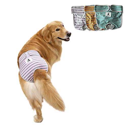 Miaododo Waschbare Windeln für Hündinnen, wiederverwendbar, rosa + orange grün gestreifte Hundehose Hunde bei Hitze, Klettverschluss verstellbare Taille (3 Stück) (L(Taille 70,5 - 80,6 cm), grün) von Miaododo