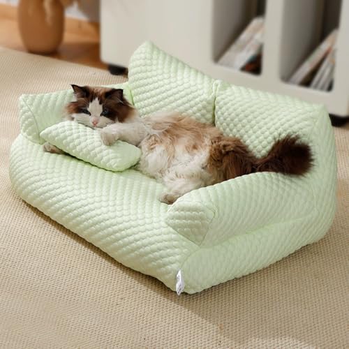 Miaogoo Katzen- und Hundesofa, beruhigendes Bett, rutschfeste Katzen-/Hunde-Couch, hautfreundliches Haustiermöbelbett mit kleinem Kissen, waschbare orthopädische Isomatte (S: 55 x 35 x 15 cm, Grün) von Miaogoo