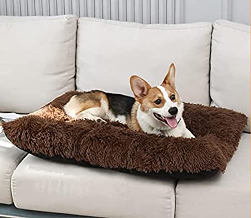 Miaogoo Weiches, bequemes Hundebett Haustierkissen, rutschfest, für Hunde und Katzen, beruhigende Unterlage, waschbare Plüsch-Hundeschlafmatte, Schlafsofa, Haustierkäfig-Matte, Kissen (65 x 48 cm, von Miaogoo