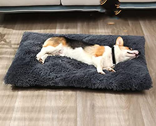 Miaogoo Weiches, bequemes Hundebett Haustierkissen, rutschfeste Beruhigungspad für Hunde und Katzen, waschbare Plüsch-Hundeschlafmatte, Schlafsofa, Haustierkäfig-Matte, Kissen (53 x 38 cm, Grau) von Miaogoo