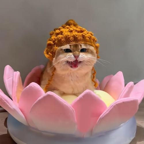 Miaoyak Haustier-Buddha-Hut, Katze, Reise in den Westen, Kopf Schwein, acht Ringe, Zapfen, Mönch, Hund, Kopfschmuck, lustige Halloween-Dekoration Miaoyak Haustier-Buddha-Hut, Katze, Reise in den Westen, Kopf Schwein, acht Ringe, Zapfen, Mönch, Hund, Kopfschmuck, lustige Halloween-Dekoration von Miaoyak