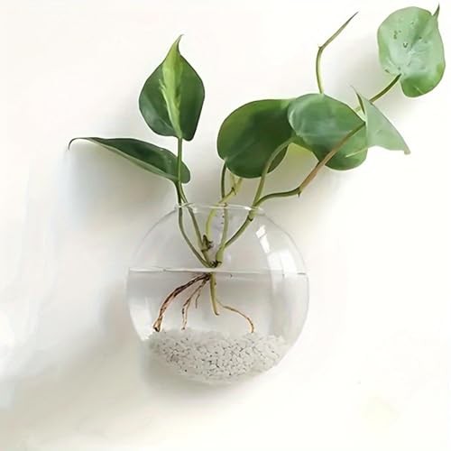Wandbehang Glaspflanzen-Terrarium Behälter Anzuchtstation Wandmontage Blumenvasen Luftpflanzen-Terrarium Home Office Dekor von Miaoyak