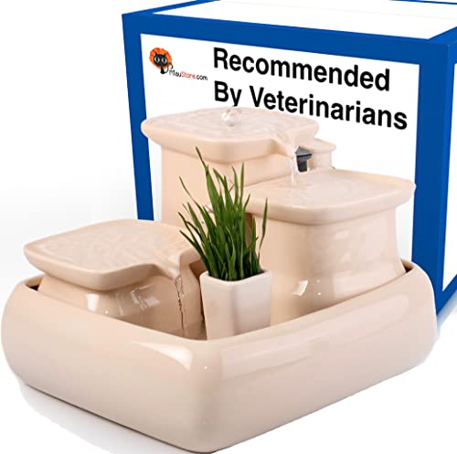 Miaustore Katzenbrunnen aus Keramik - Trinkbrunnen für Katze mit Wasserfall. Ultra leise, braucht keine Filter, spülmaschinengeeignet. Katzentrinkbrunnen mit Option für Katzengrass und Bewegungsmelder (Creme, Mit Katzengrass Topf und Katzengrass-Samen) Miaustore Katzenbrunnen aus Keramik - Trinkbrunnen für Katze mit Wasserfall. Ultra leise, braucht keine Filter, spülmaschinengeeignet. Katzentrinkbrunnen mit Option für Katzengrass und Bewegungsmelder (Creme, Mit Katzengrass Topf und Katzengrass-Samen) von Miaustore