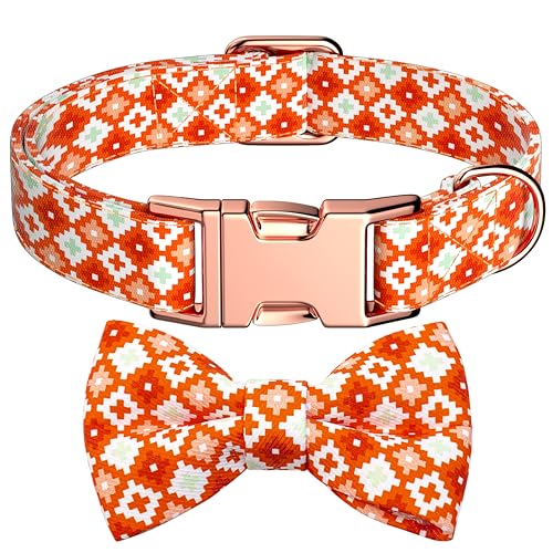Miavers Hundefliege, orangefarbenes Hundehalsband für süße kleine, mittelgroße und große Haustiere (Größe: S) von Miavers