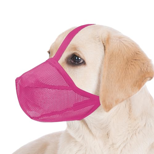 Miavers Maulkorb für Hunde, weiches Netzgewebe für kleine, mittlere, große und große Hunde, Maulkorb mit verstellbaren Riemen, verhindert Bellen, Beißen und versehentliches Verschlucken (M, Rosa) Miavers Maulkorb für Hunde, weiches Netzgewebe für kleine, mittlere, große und große Hunde, Maulkorb mit verstellbaren Riemen, verhindert Bellen, Beißen und versehentliches Verschlucken (M, Rosa) von Miavers