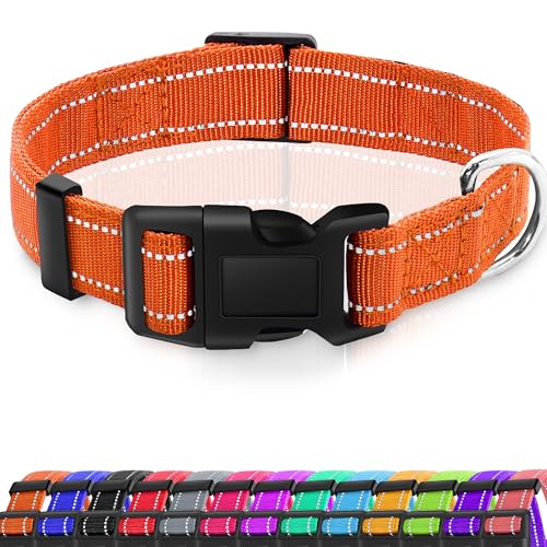 Miavers Reflektierendes Hundehalsband, verstellbares Nylon-Halsband, geeignet für kleine, mittelgroße und große Hunde (Größe XL, Orange, 2 Halsbänder), 2 Stück von Miavers