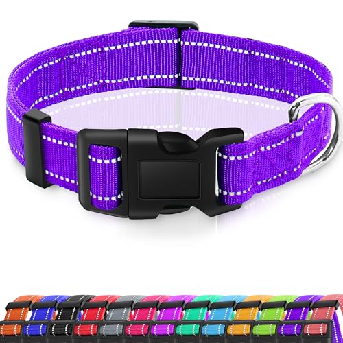 Miavers Reflektierendes Hundehalsband, verstellbares Nylonhalsband, geeignet für kleine, mittelgroße und große Hunde (Größe M, Violett, 2 Halsbänder) von Miavers