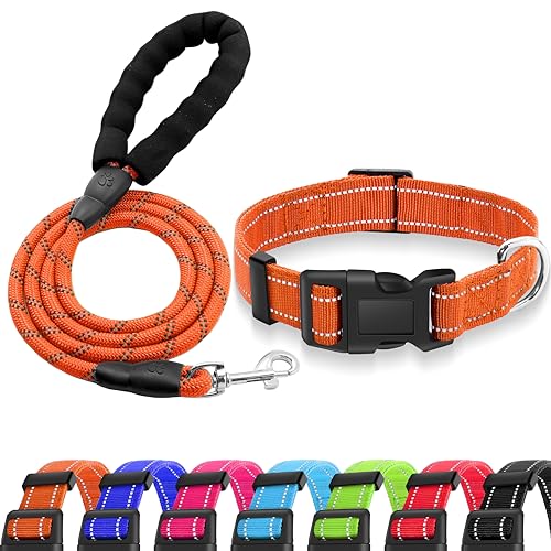 Miavers Reflektierendes Hundehalsband, verstellbares Nylonhalsband, geeignet für kleine, mittelgroße und große Hunde (klein, orange (Korallen+Leine)) von Miavers