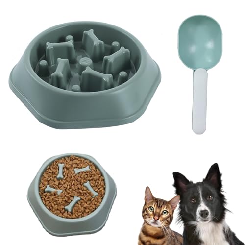Slow Feeder Hund Fütterung, Anti Schling Napf Hund, Slow Feeder Hundenäpfe, Hundenapf zur Verlangsamung zur Verlangsamung des Fressens Rutschfestes Interaktives Hundefutter von Miayical