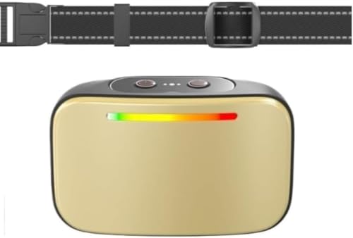 Emmalove - Hundefreundliches Halsband 2.0 – Verstellbares Hundehalsband mit Griff, Reflektierend & Gepolstert – Sicheres & Komfortables Hundezubehör für Training, Spaziergänge & Kontrolle (Gold) von Micmetago