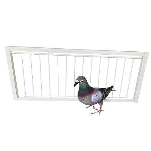 Micmetago Pigeon Loft Door Pigeon Entrance Door Trap Door Pigeon House Door Racing Supplies Pet Bird Supply Product Bird cage Door (50cm/20in) von Micmetago
