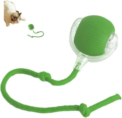 Micmetago hixfy Interaktiver Katzenball & Hundespielzeug – Selbstbewegender Spielball für Katzen und Hunde, mit Schwanzbewegung – Automatisches Haustierspielzeug zur Beschäftigung (Grün) von Micmetago
