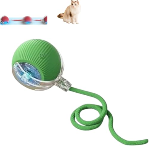 Tierbedarf-Plus Interaktiver Spielball mit Schwanz für Hunde & Katzen – Kausicherer Power-Spielball zur Förderung von Jagdinstinkt, Bewegung & mentaler Aktivität, ideal für alle Hundegrößen (Grün) Tierbedarf-Plus Interaktiver Spielball mit Schwanz für Hunde & Katzen – Kausicherer Power-Spielball zur Förderung von Jagdinstinkt, Bewegung & mentaler Aktivität, ideal für alle Hundegrößen (Grün) von Micmetago
