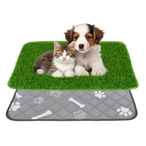 Micnaron Hundegrasmatte mit Urinierpad, Kunstrasen Urinierunterlage für Hunde Micnaron Hundegrasmatte mit Urinierpad, Kunstrasen Urinierunterlage für Hunde von Micnaron