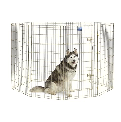 MidWest Homes for Pets 548-48 Hunde-Laufstall, Haustier-Spielgehege, faltbar, Metall, mit Tür, 61 x 122 cm, goldfarben verzinkt von MidWest Homes for Pets