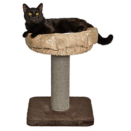 MidWest Homes for Pets Katzenbaum mit herausnehmbarem Katzenbett, 55 cm, Braun/Hellbraun (139T-TN) von MidWest Homes for Pets