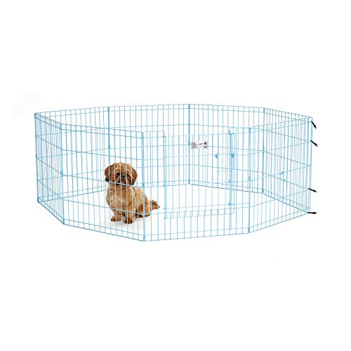 MidWest Homes for Pets 524DRBL Laufstall, Haustier-Spielgehege, faltbar, Metall, mit Tür, 61 x 61 cm (B x H), blau von MidWest Homes for Pets