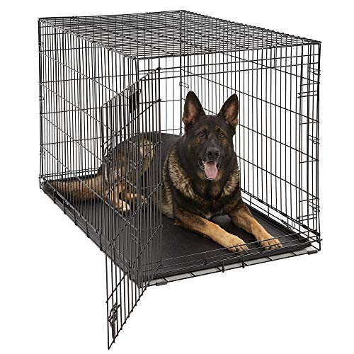 MidWest Homes for Pets Life Stages Modell 1648U Hundebox, sehr groß, Einzeltür, faltbar, Metall, 122 cm lang, mit Trenneinsatz, Bodenschutz, auslaufsicherer Wanne, für sehr große Hunde, schwarz von MidWest Homes for Pets