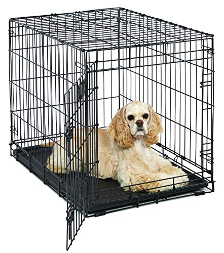 MidWest Homes for Pets Life Stages Modell 1630 Hundebox, mittelgroß, Einzeltür, faltbar, Metall, 76 cm lang, mit Trenneinsatz, Bodenschutz, auslaufsicherer Wanne, für mittelgroße Hunde, schwarz MidWest Homes for Pets Life Stages Modell 1630 Hundebox, mittelgroß, Einzeltür, faltbar, Metall, 76 cm lang, mit Trenneinsatz, Bodenschutz, auslaufsicherer Wanne, für mittelgroße Hunde, schwarz von MidWest Homes for Pets