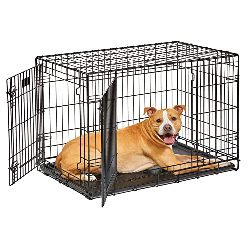MidWest Homes for Pets Life Stages Modell 1636DDU Hundebox, mittelgroß, Doppeltür, faltbar, Metall, 91 cm lang, mit Trenneinsatz, Bodenschutz, auslaufsicherer Wanne, für mittelgroße Hunde, schwarz MidWest Homes for Pets Life Stages Modell 1636DDU Hundebox, mittelgroß, Doppeltür, faltbar, Metall, 91 cm lang, mit Trenneinsatz, Bodenschutz, auslaufsicherer Wanne, für mittelgroße Hunde, schwarz von MidWest Homes for Pets