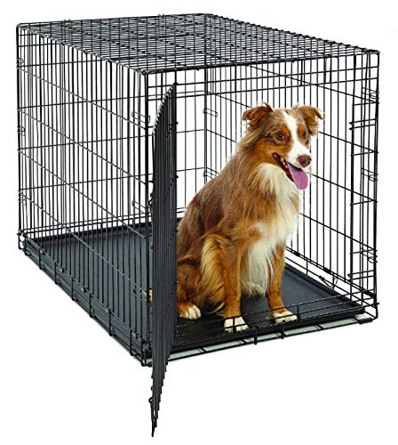 MidWest Homes for Pets Life Stages Modell 1642U Hundebox, groß, Einzeltür, faltbar, Metall, 107 cm lang, mit Trenneinsatz, Bodenschutz, auslaufsicherer Wanne, schwarz MidWest Homes for Pets Life Stages Modell 1642U Hundebox, groß, Einzeltür, faltbar, Metall, 107 cm lang, mit Trenneinsatz, Bodenschutz, auslaufsicherer Wanne, schwarz von MidWest Homes for Pets