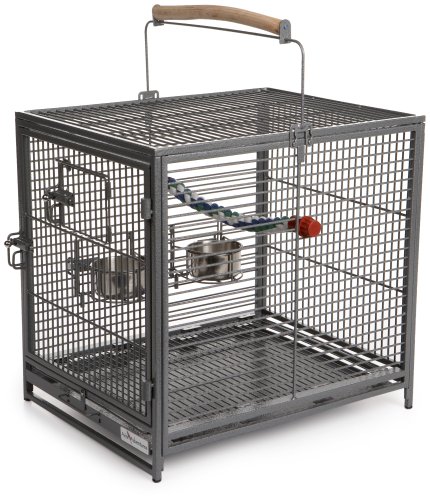 Midwest Homes for Pets 1705001204 Poquito Transportkäfig für Vögel, Reisekäfig, 48 x 39,5 x 60 cm, mit Sitzstange und 2 Futterschalen aus Edelstahl, Platin von MidWest Homes for Pets
