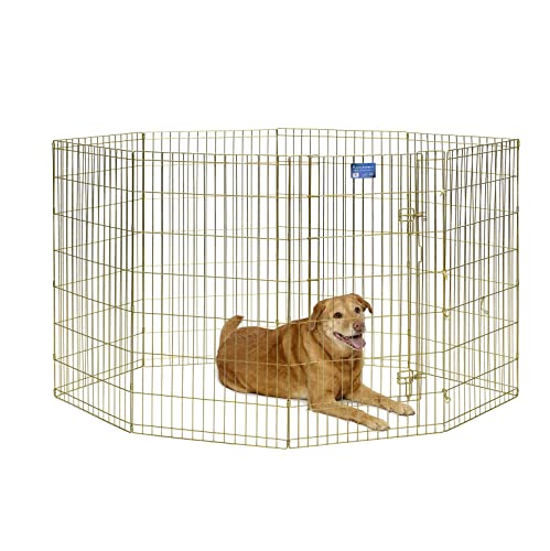 MidWest Homes for Pets Midwest Exercise Pen mit Tür, 106,68 cm, Gold von MidWest Homes for Pets