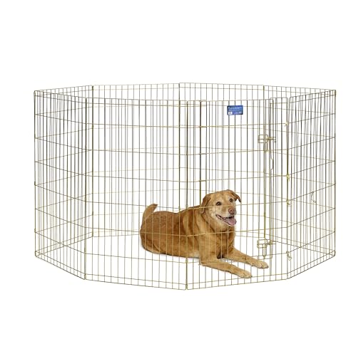 MidWest Homes for Pets 546-42 Hunde-Laufstall, Haustier-Spielgehege, faltbar, Metall, 61 x 107 cm, goldfarben verzinkt von MidWest Homes for Pets