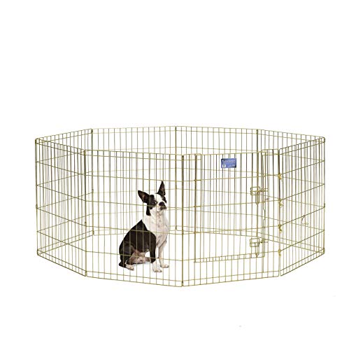 MidWest Homes for Pets Midwest Exercise Pen mit Tür, 76,2 cm, Gold von MidWest Homes for Pets