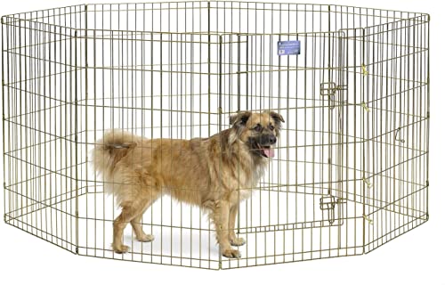 MidWest Homes for Pets 544-36 Hunde-Laufstall, Haustier-Spielgehege, faltbar, Metall, mit Tür, 61 x 91 cm, goldfarben verzinkt von MidWest Homes for Pets