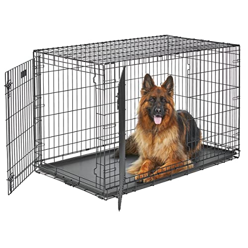 MidWest Homes for Pets Life Stages Modell 1648DDU Hundebox, sehr groß, Doppeltür, faltbar, Metall, 122 cm lang, mit Trenneinsatz, Bodenschutz, auslaufsicherer Wanne, für sehr große Hunde, schwarz von MidWest Homes for Pets