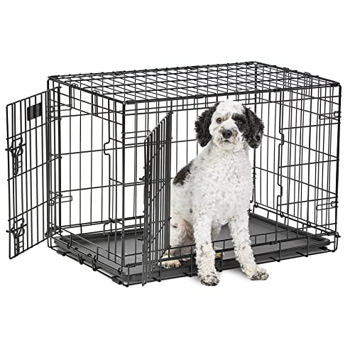 MidWest Homes for Pets Midwest Life Stages Zusammenklappbare Hundebox mit Zwei Türen, 76,2 x 53,34 x 60,96 cm von MidWest Homes for Pets