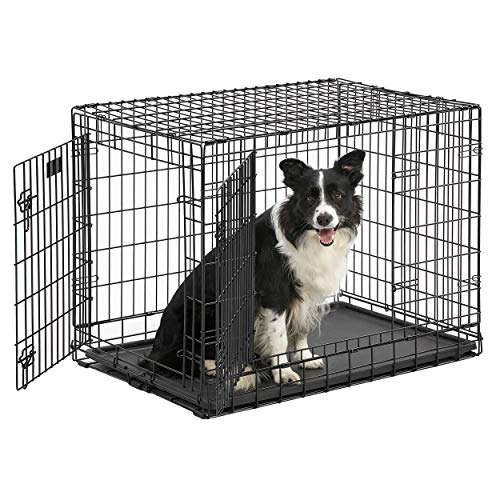 MidWest Homes for Pets Ultima Pro Series 736UP Hundebox, 91 cm lang, sehr stabil, Doppeltür, faltbar, aus Metall, mit Trenneinsatz, bodenschonenden „Rollfüßen“ und auslaufsicherer Wanne von MidWest Homes for Pets