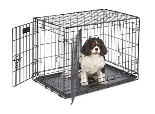 MidWest Homes for Pets iCrate Modell 1530 Hundebox, ca. 76 cm lang, mit Doppeltür, auslaufsicherer Bodenwanne, Bodenschutzfüßen, Trenneinsatz und patentierten Funktionen, schwarz von MidWest Homes for Pets